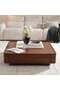 Tarsus Coffee Table With Lift Top Veneer - White Walnut