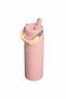 Buz Akışı ™   Bottle Flip Straw 2.0 0.7L / 24oz Şeftali Gülü - 3