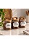 3-Pack 550 ml Acacia Lid Vacuum Coffee Jar (4-Pack with Label Gift) Borosilicate Storage Container - 3