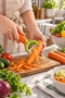Carrot Patterned Sapan Vegetable Peeler Dual Use - 4