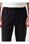 Xside Black Regular Fit Men's Jogger Pants with Nevavm Difference - 3