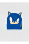 I Blue Fast Hedgehog from Freezen Storeboy's Beanie