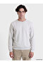Timeless Clothing & Timeless Choices Zero Roba Collar Men's Thick Sweatshirt