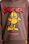 Garfield Crew Neck Soft Fuzzy Printed Sweatshirt for Boys I3254A826Wn - 4