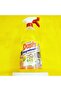 Classic Degreaser Multi Purpose Cleaners 1 LITER / 3 PCS - 3