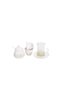 طقم ترامس كلارا مع مجموعه تقديم متكامله من تافولو - 4