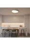 SOLIS LED Ceiling Light 37cm 33W Cold White Light - 8