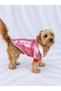 Cat - Dog Welsoft Warm Winter Waterproof Raincoat (Hat Can Be Put on and Taken Off) - Coat - Vest - Clothing - 7