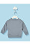 Infant Boys Grey Printed Crew Neck Sweatshirt - 3