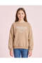 Senior Girls Beige Embroidered Sweatshirt
