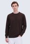 Anti-Pilling Wool Crew Neck Regular Fit Brown Sweater - 2