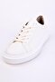 Shoes - 4
