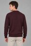 Patterned Knitted Crew Neck Sweater Dp 16643_10065 - 6