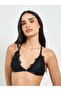 Solid Lace Padded Non Wired Bulk Front Bralette