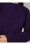 Purple Textured Long Sleeves Regular Fit Sweater - 4