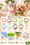 Cat and Small Breed Dog Collar – Adjustable – Beaded – Figured – with Bell – Colorful Collar - 5