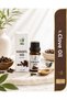 Pure Clove Oil 10 ml (Clove Oil) - Natural Bad Breath Eliminator, Gum & Care Oil