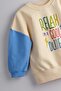 Printed Boys' Sweatshirt 100% Cotton - 2
