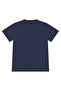 Shark Surf Boy Summer T-Shirt Shorts Set - 6