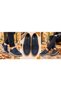Anatomical Genuine Leather Shoes - 3