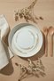 3-Pack Toledo Large Plates 26cm Digital Costa - 4