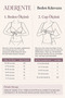 Light Gray Lace and Crisscross Band Detailed Supported Adjustable Strap Bra & Panty Lingerie Set - Underwire and Padded - 6