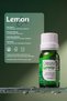 Pure Lemongrass Essential Oil 10 ml (Lemongrass) - 4