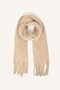 Women's Soft Textured Scarf C6858Ax24Wn