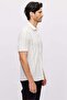 Men's Textured Striped Shirt - 4