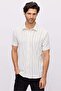Men's Textured Striped Shirt - 3