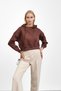 Brown Hooded Inside Inside Fleece-Lined Three Thread Sweatshirt