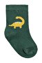 Dinosours 3-Piece 6-Piece Baby Boy Sock Set - Standard - 4