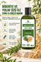 Rosemary & Oat Extract Shampoo, Anti-Hair Loss, 485 Ml, Set of 4 - 2