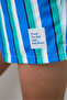 Striped Men's Swim Shorts - 3