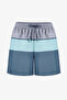Men's Mindful Color Block Striped Swim Shorts - 4