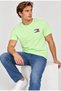 ESSENTIAL FLAG TEE - Basic Tişört - opal yeşil - 3