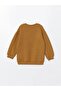 Crew Neck Basic Baby Boy Sweatshirt - 5