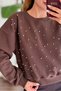 Brown Cotton Blend Crew Neck Long Sleeve Stone Detailed Comfortable Fit Sweatshirt - 4