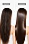 Day Collagen Shampoo Morning of Resort 120ml - 5