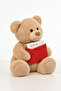 Lover's Special Gift Letter Teddy Bear 45 cm - 2
