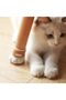Silicone Cat Paw Chair Leg Protectors with Felt Pads,Floor Scratch Prevention and Noise Reduction Caps,Pack of 4 - 6