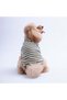 Yellow Marseille Softline Striped Cat Dog Sweati Dog Outfit Cat Outfit