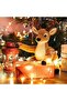 12 Pack Fairy Lights Battery Operated, 3.3FT 10 LED Mini String Lights Twinkle Copper Wire Firefly L - 2
