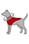 Dog Protective Inflatable Collar S–M: 32–40 cm / 11 cm - Blue - 3