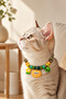 Cat and Small Breed Dog Collar – Adjustable – Beaded – Figured – with Bell – Colorful Collar - 2