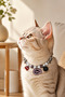 Cat and Small Breed Dog Collar – Adjustable – Beaded – Figured – with Bell – Colorful Collar - 2