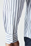 Long Sleeve Regular Fit Cotton Easy-Iron Classic Collar Striped Shirt - 5