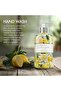 Royale Garden Lemon & Basil Hand Wash, 500ml | Refreshing Citrus Botanical Scent | Moisturizing Luxury Hand Soap for Daily Use | Vegan & Cruelty-Free - 3