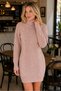 Women's Long Sleeve Turtleneck High Neck Front Back Hairnet Thessaloniki Knit Patterned Links Detailed Stylish Elegant Casual Powder Knitwear Mini Tunic Dress