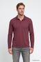 Men's Burgundy 100% Cotton Standard Fit Regular Cut Polo Collar Sweatshirt - 3